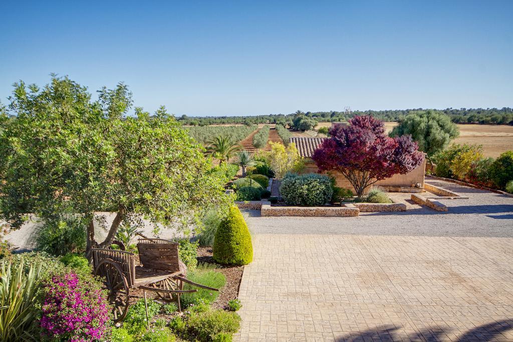 קמפוס Finca Agroturismo Can Carro מראה חיצוני תמונה