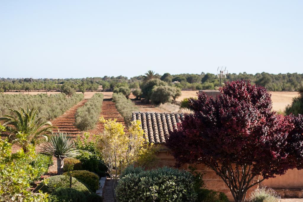 קמפוס Finca Agroturismo Can Carro מראה חיצוני תמונה