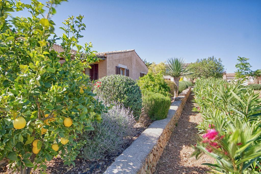 קמפוס Finca Agroturismo Can Carro חדר תמונה