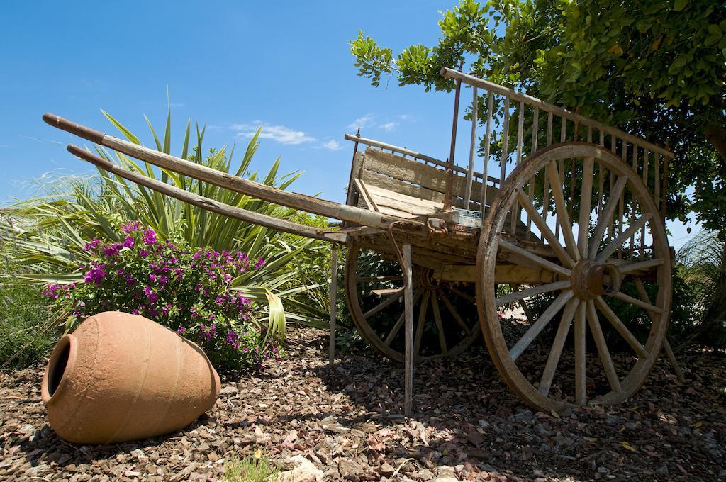 קמפוס Finca Agroturismo Can Carro מראה חיצוני תמונה