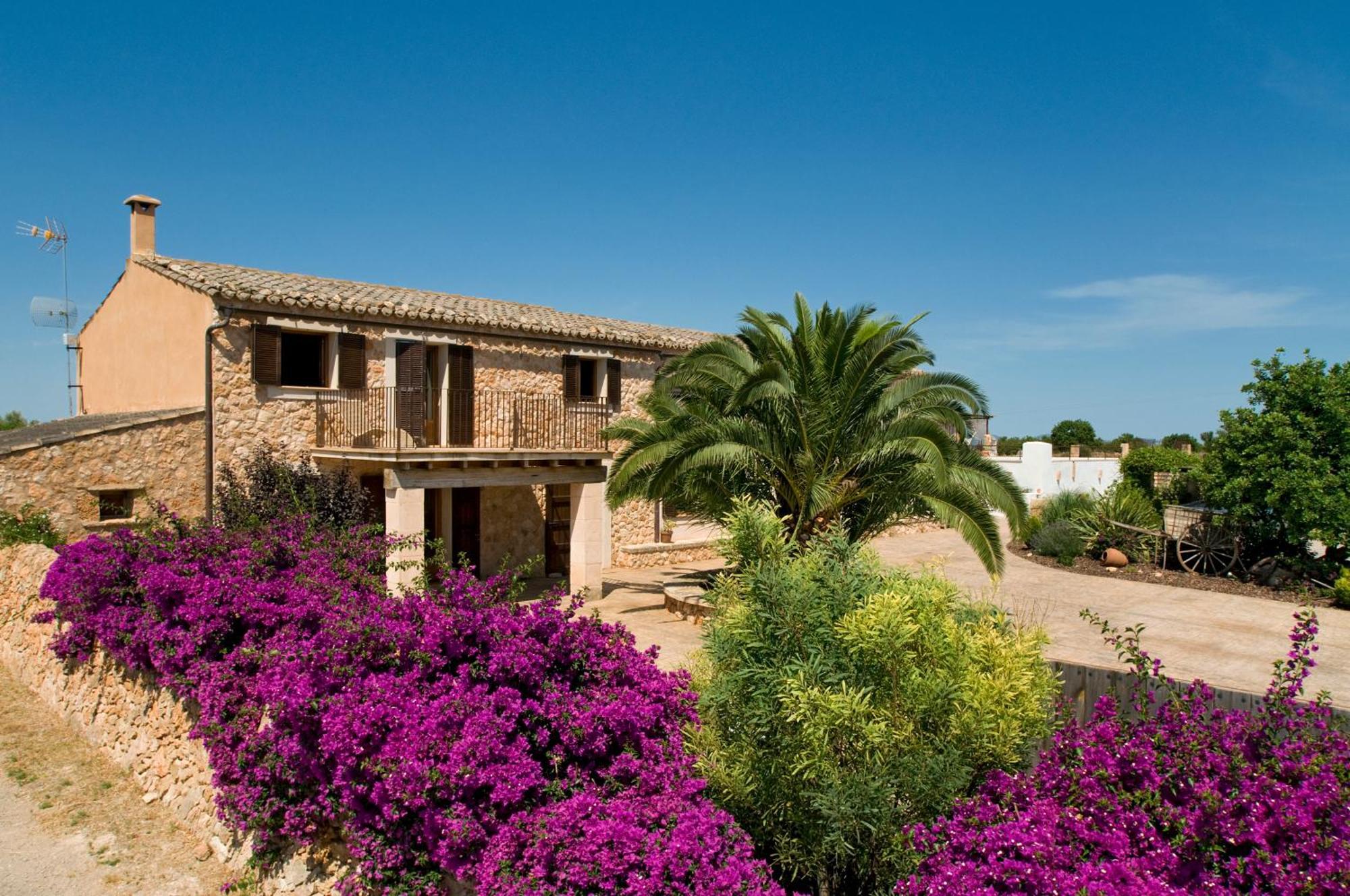 קמפוס Finca Agroturismo Can Carro מראה חיצוני תמונה